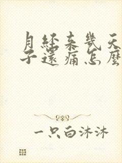 月经来几天了肚子还痛怎么回事封面