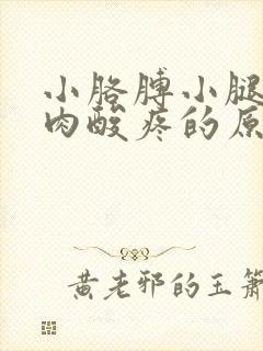 小胳膊小腿的肌肉酸疼的原因