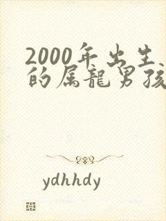 2000年出生的属龙男孩一生一世命运如何