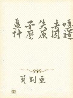 鼻子失去嗅觉是什么原因造成的封面