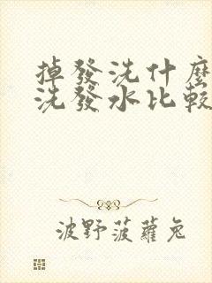 掉发洗什么牌子洗发水比较管用