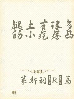 腿上有很多黑色的小疙瘩凸起