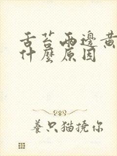 舌苔两边黄腻是什么原因封面