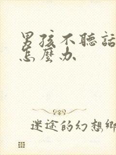 男孩不听话叛逆怎么办封面