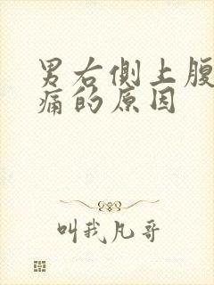 男右侧上腹部隐痛的原因