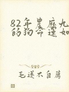 82年农历九月的狗命运如何