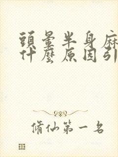 头晕半身麻木是什么原因引起的封面