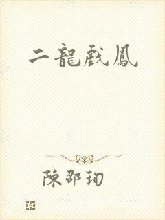 二龙戏凤