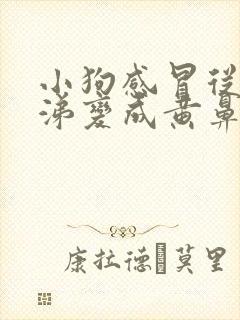 小狗感冒从清鼻涕变成黄鼻涕了封面