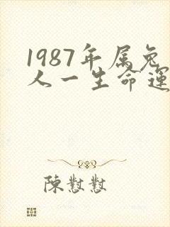 1987年属兔人一生命运