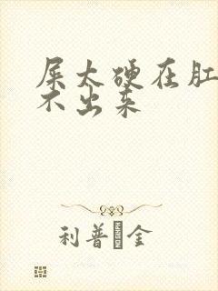 屎太硬在肛门拉不出来