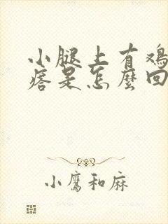 小腿上有鸡皮疙瘩是怎么回事