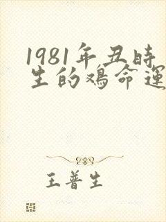 1981年丑时生的鸡命运
