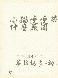 小猫便便带血是什么原因