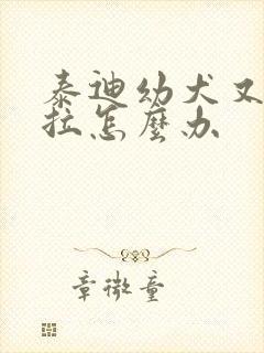 泰迪幼犬又吐又拉怎么办