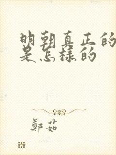 明朝真正的历史是怎样的