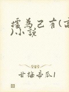 据为己有(高干)小说