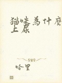 猫咪为什么在床上尿