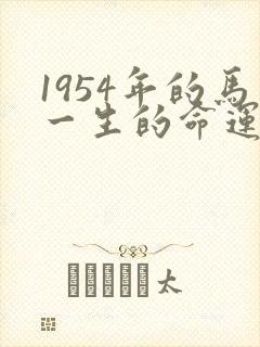 1954年的马一生的命运封面