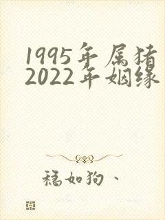 1995年属猪2022年姻缘