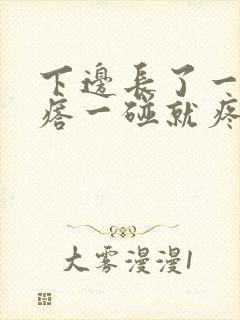 下边长了一个疙瘩一碰就疼