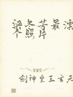 梁冬芳最漂亮三个照片