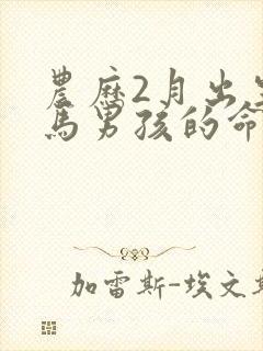 农历2月出生的马男孩的命运封面