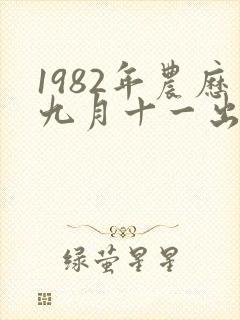 1982年农历九月十一出生的人命运好不好