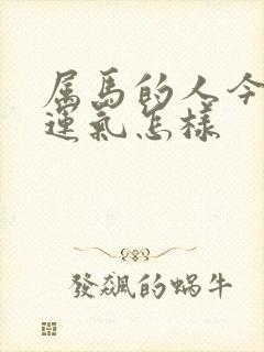 属马的人今天的运气怎样