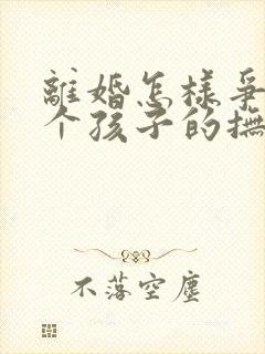 离婚怎样争夺两个孩子的抚养权