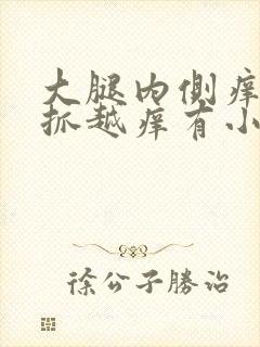 大腿内侧痒痒越抓越痒有小红疙瘩怎么解决