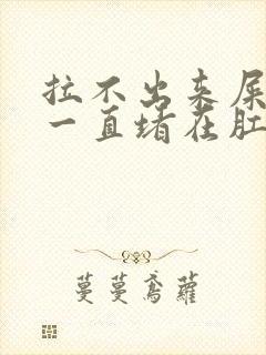 拉不出来屎感觉一直堵在肛门怎么办