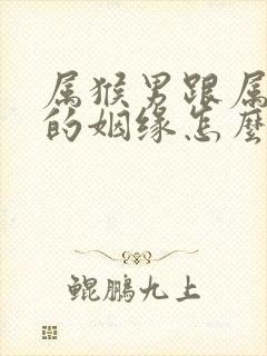 属猴男跟属龙女的姻缘怎么样封面