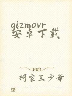 gizmovr安卓下载