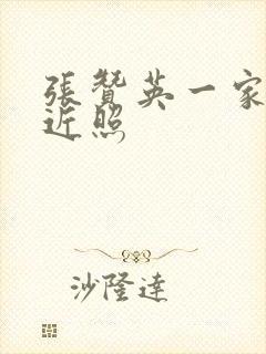 张赞英一家三口近照封面