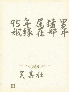 95年属猪男的姻缘在哪年封面