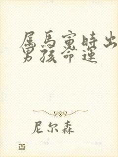 属马寅时出生的男孩命运