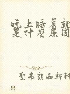 晚上睡着就做梦是什么原因