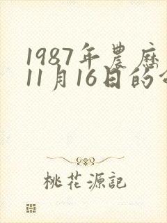 1987年农历11月16日的命运