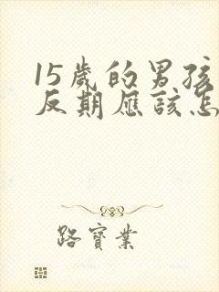 15岁的男孩逆反期应该怎么办