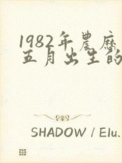 1982年农历五月出生的男封面