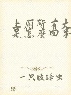 上厕所有大便血是怎么回事女