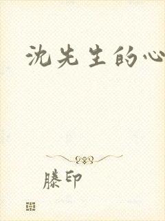 沈先生的心头宝