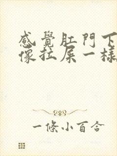 感觉肛门下坠感像拉屎一样