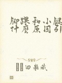 脚踝和小腿肿是什么原因引起的