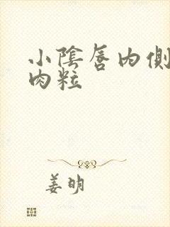 小阴唇内侧长个肉粒