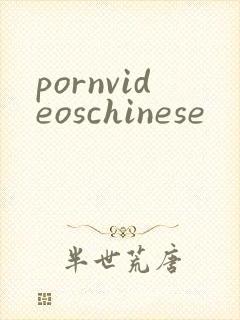 pornvideoschinese封面