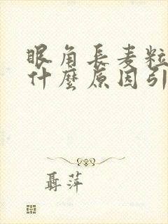 眼角长麦粒肿是什么原因引起的