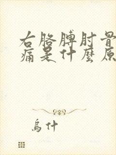 右胳膊肘骨头疼痛是什么原因