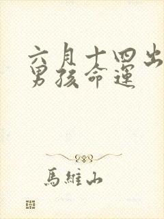 六月十四出生的男孩命运封面